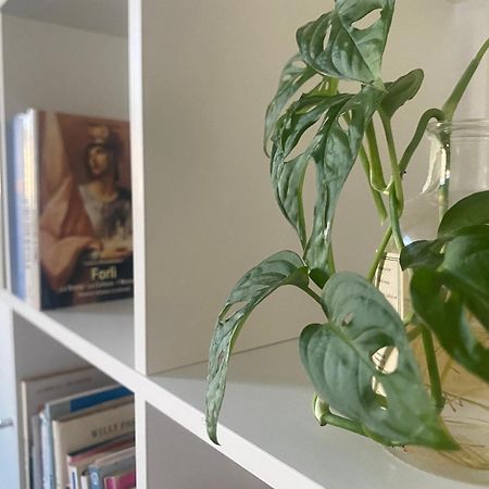 Bnb36 Forlì Eksteriør bilde
